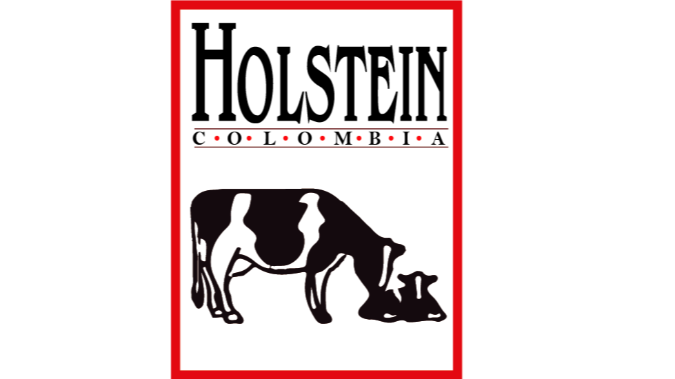 holsteincolombia